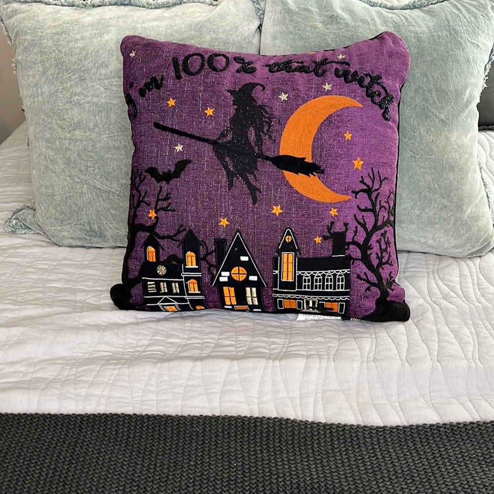 Halloween Witch Pillow